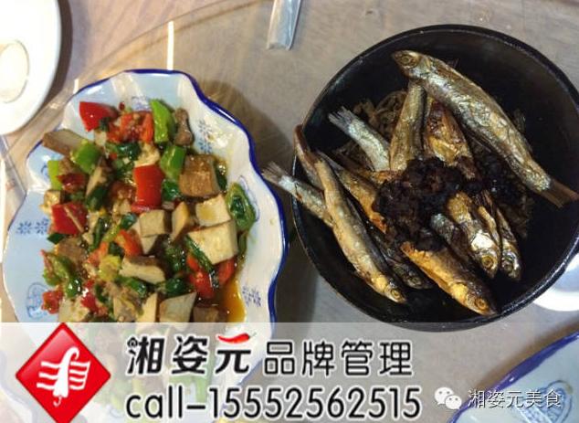 湘姿元美食品牌新项目研究中...(图11)